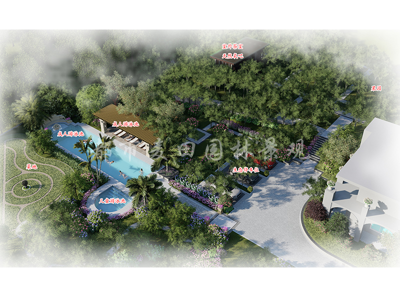 游泳池區(qū)域 游泳池區(qū)域